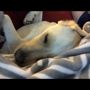 Meet your Posher, Leigh